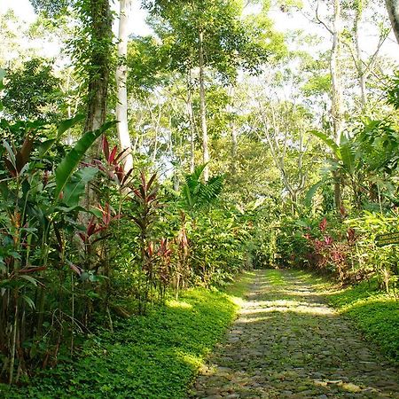 Takalik Maya Lodge Эль-Асинталь Экстерьер фото