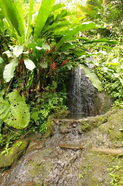 Takalik Maya Lodge Эль-Асинталь Экстерьер фото