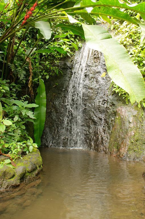 Takalik Maya Lodge Эль-Асинталь Экстерьер фото