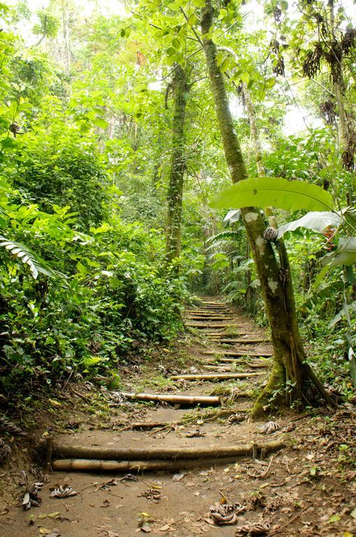 Takalik Maya Lodge Эль-Асинталь Экстерьер фото