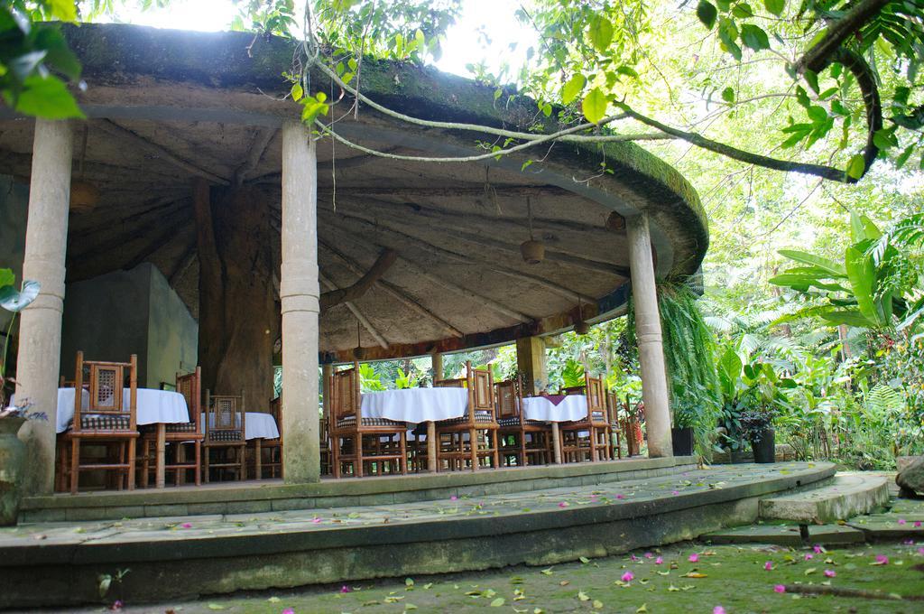 Takalik Maya Lodge Эль-Асинталь Экстерьер фото